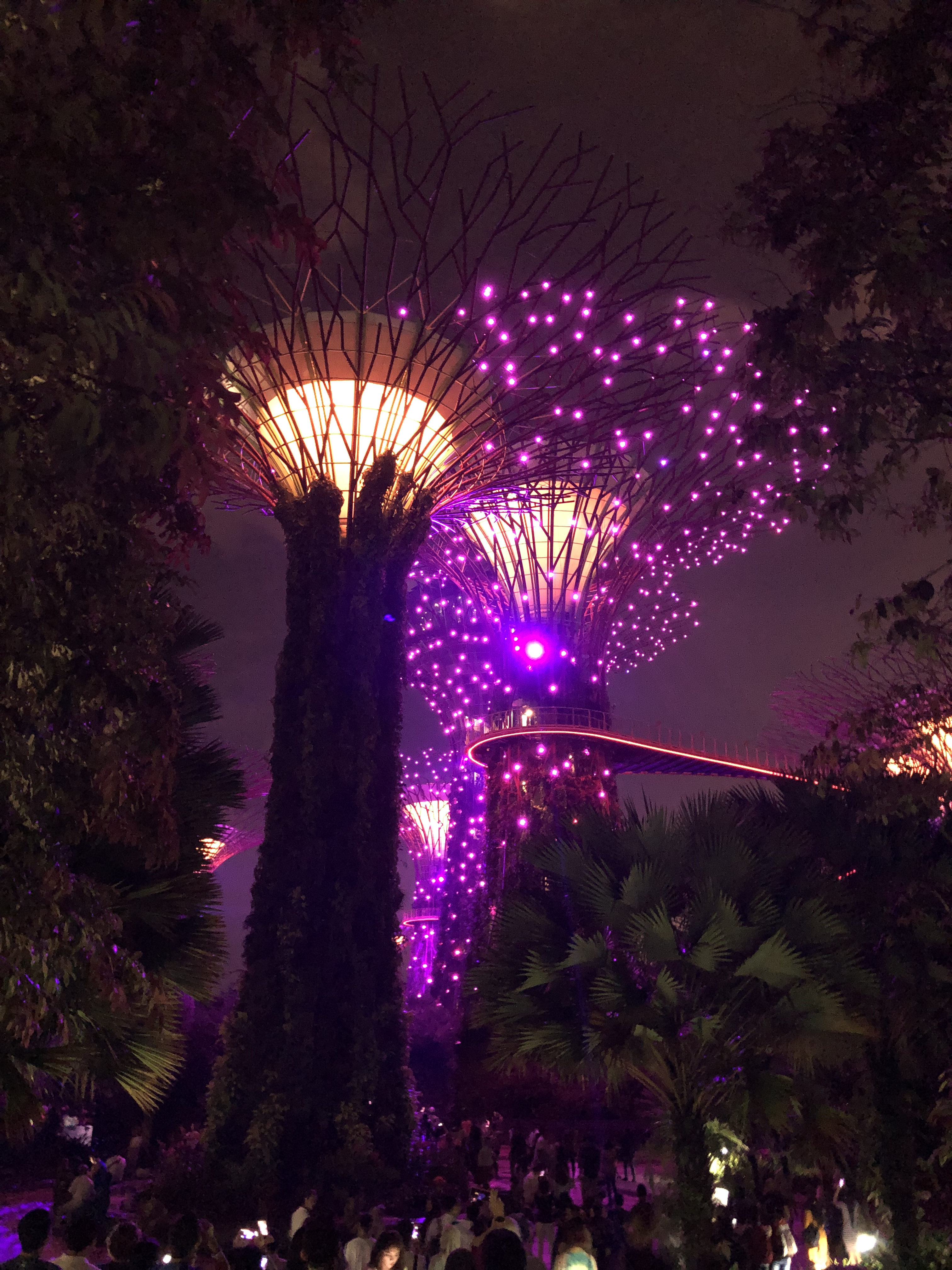 6-濱海灣花園-燈關秀_副本.jpg